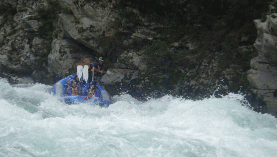 f0248120_20494168.gif