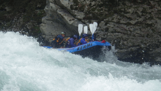 f0248120_2050266.gif