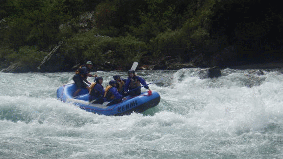 f0248120_20562677.gif