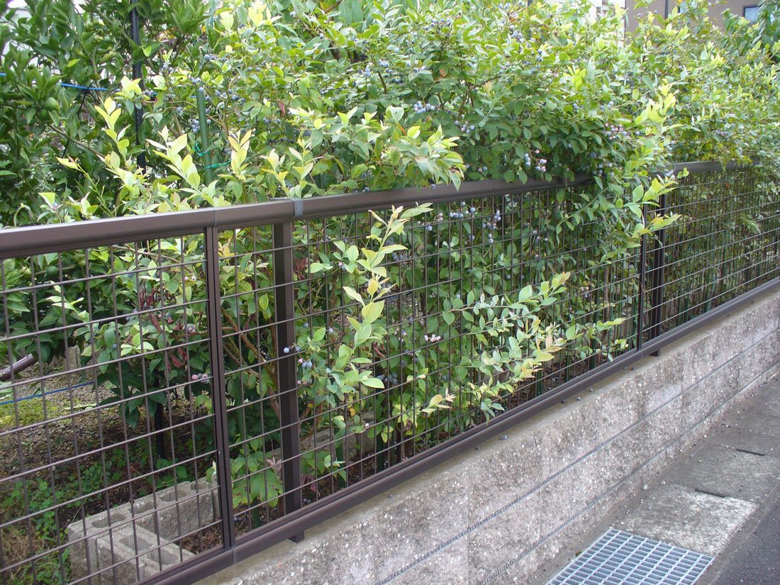 f0346527_22244238.jpg