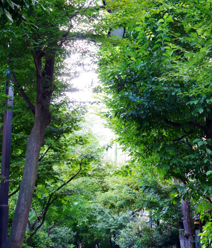f0338831_22220574.jpg
