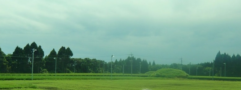 a0206332_106692.jpg