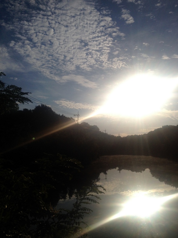 b0057140_19481390.jpg