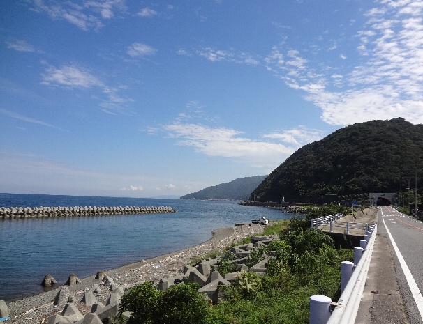 b0149340_20125847.jpg