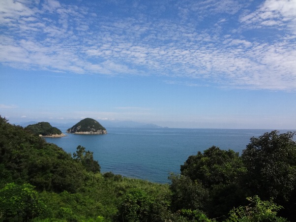 b0149340_2061530.jpg