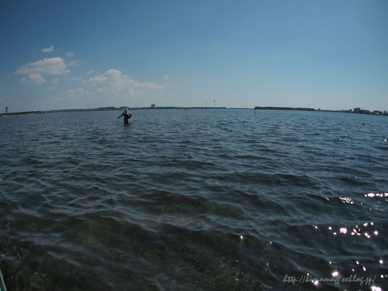 b0165444_8462127.jpg