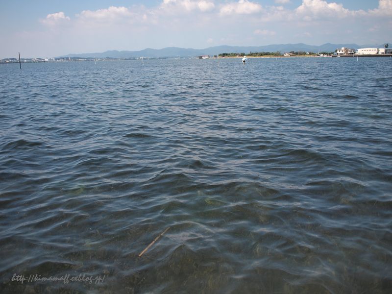 b0165444_931825.jpg
