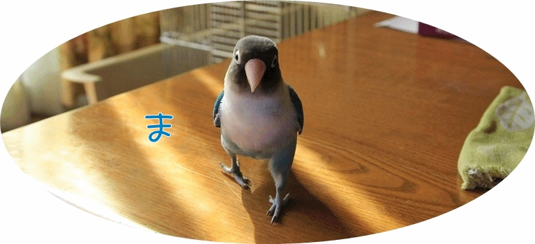 c0145250_10334261.gif