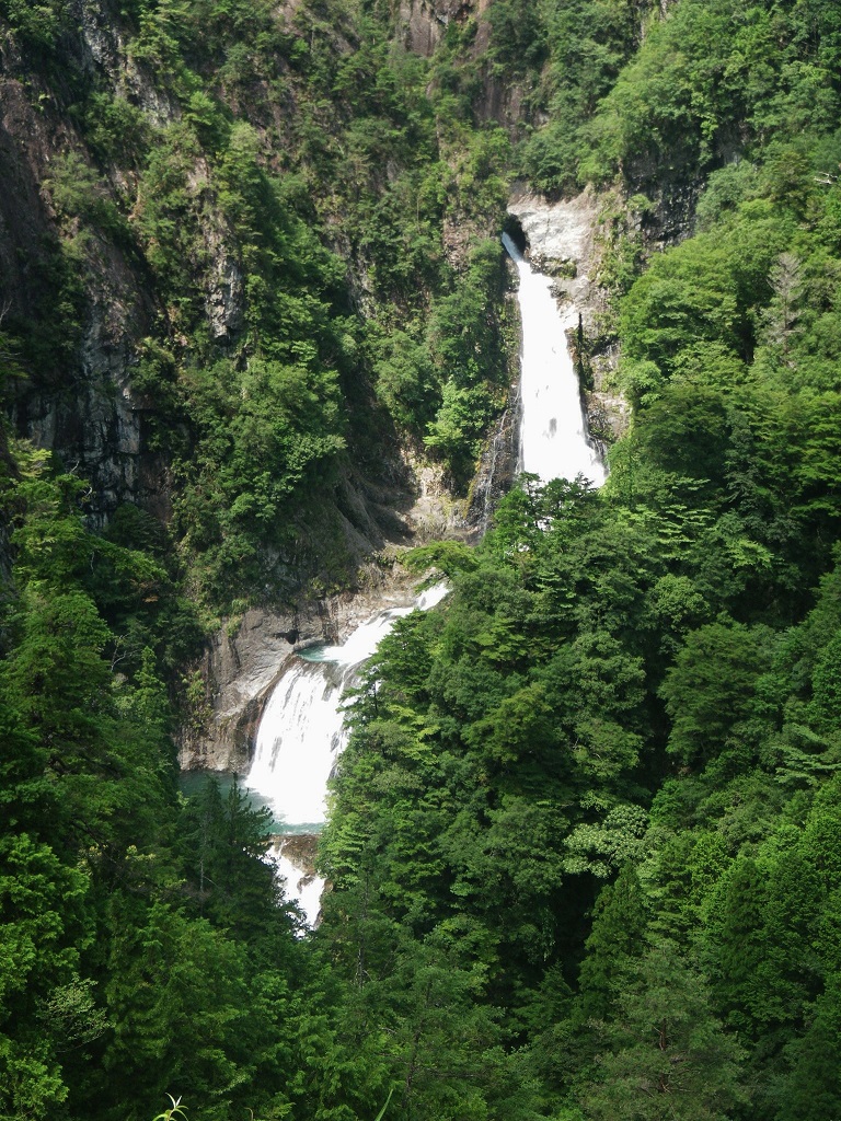 a0286351_512096.jpg