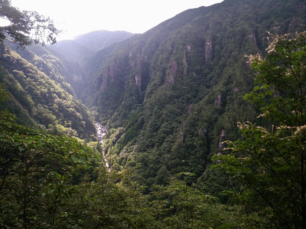 a0286351_534363.jpg