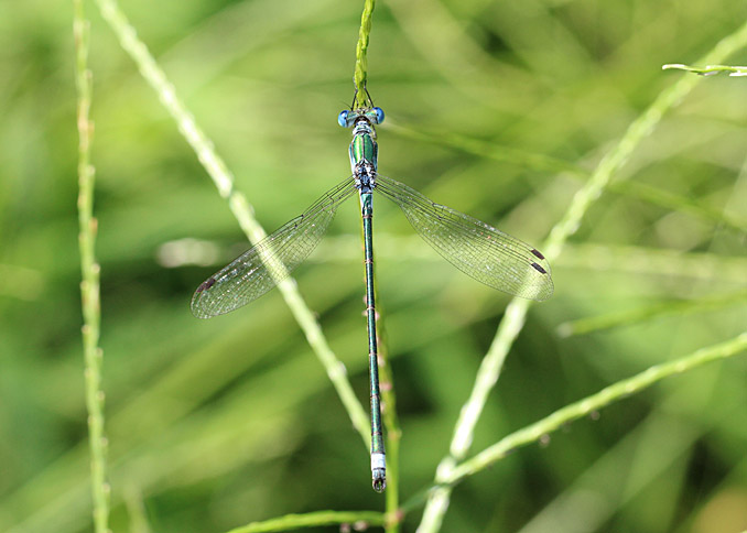 d0146854_11495958.jpg