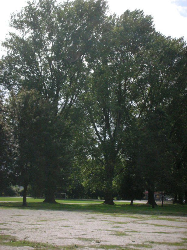 a0254358_0422290.jpg