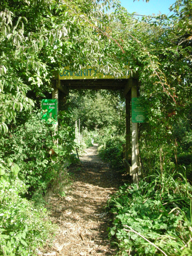 a0254358_143727.jpg
