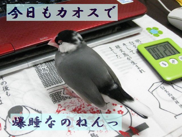 b0158061_22141014.jpg