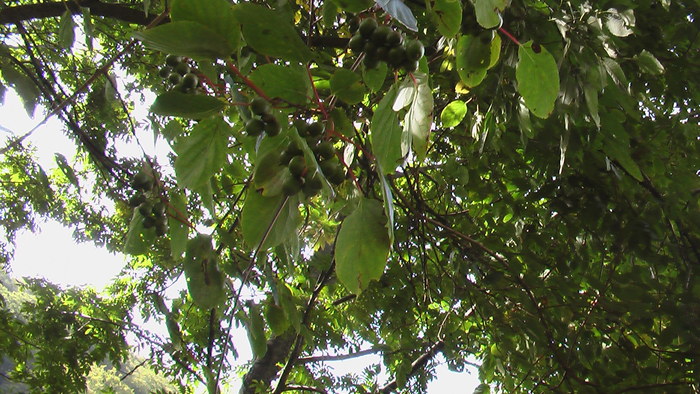 b0208961_1638947.jpg