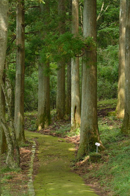 f0065768_20404917.jpg