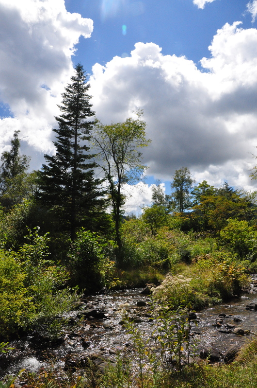 f0029271_2355534.jpg