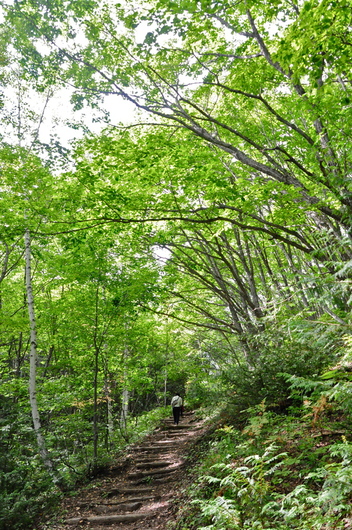 f0029271_23591122.jpg