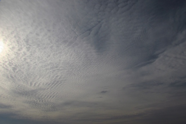 b0326576_09021870.jpg