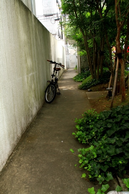 d0126577_10391221.jpg