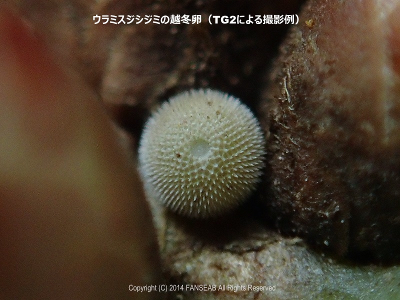 f0090680_20571848.jpg
