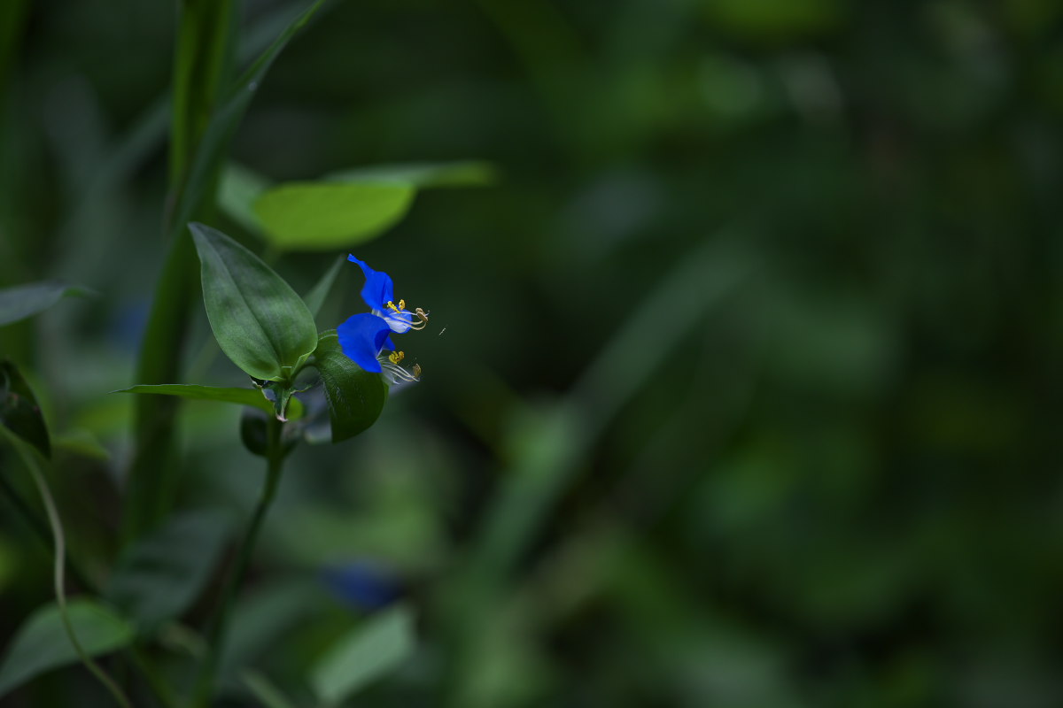 a0083081_9153928.jpg