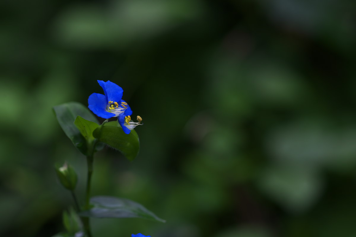 a0083081_9175896.jpg