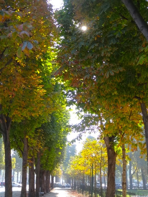 a0284783_16395321.jpg