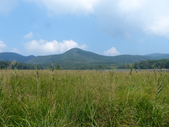 f0357487_21472742.jpg