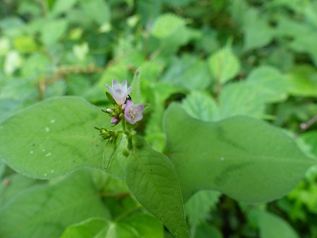 f0357487_22184580.jpg