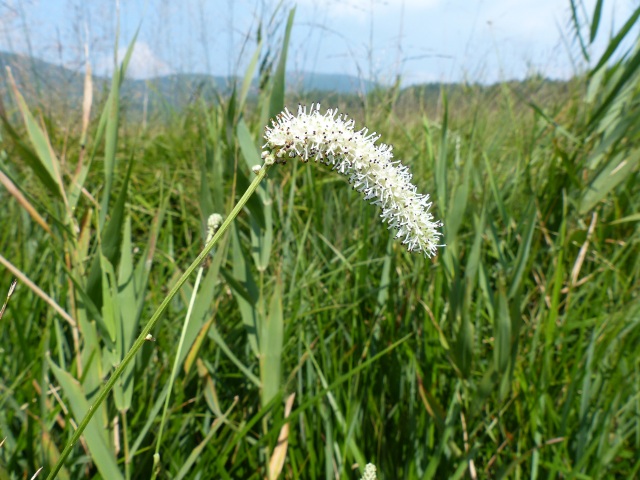 f0357487_224019.jpg