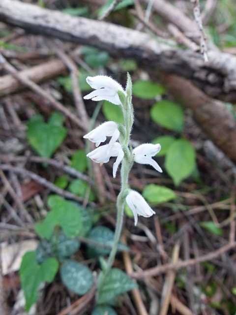 f0357487_2275052.jpg
