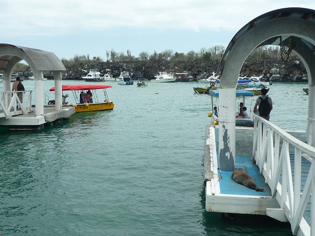 b0287088_93454.jpg