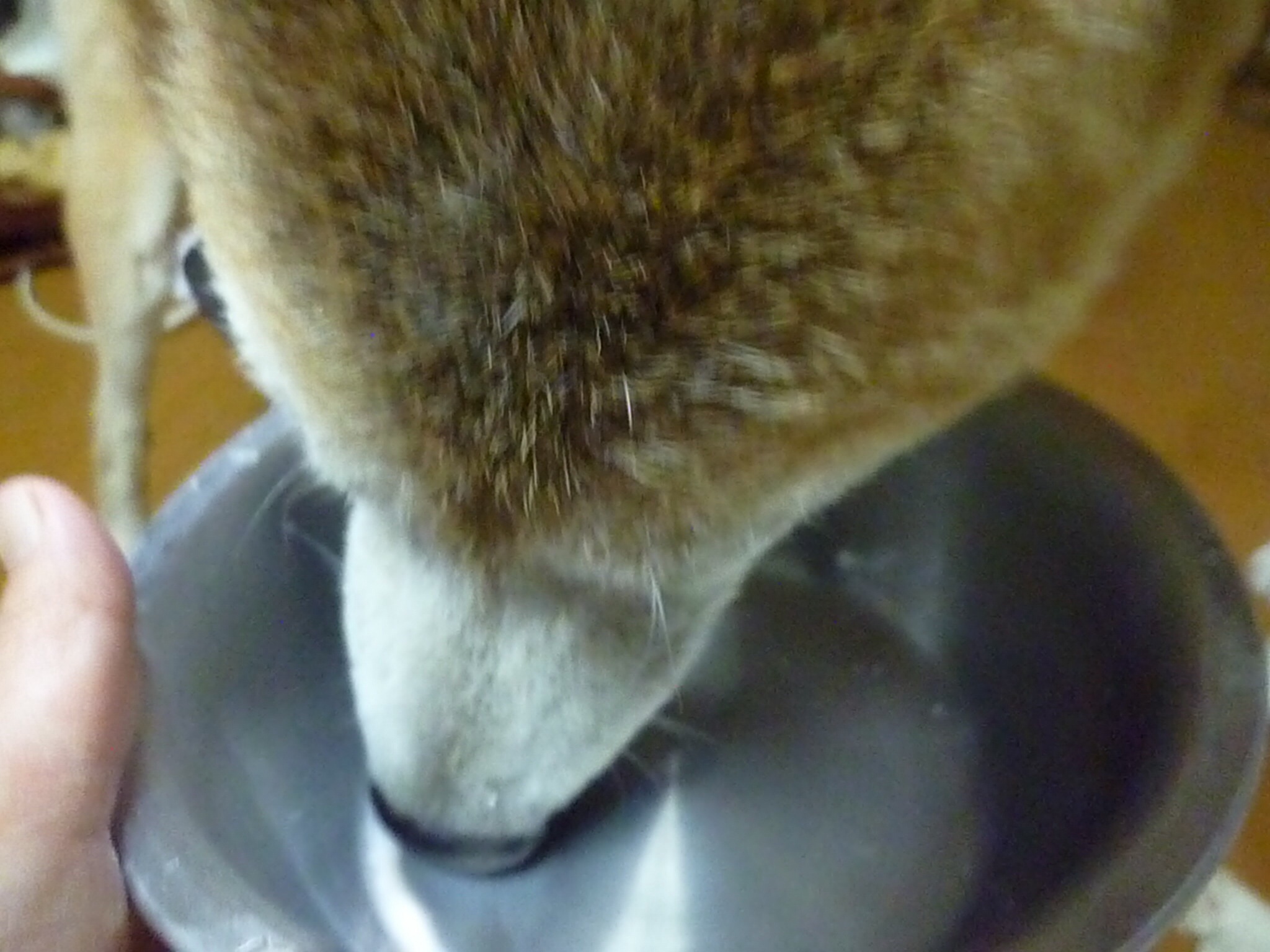 c0123890_20491449.jpg