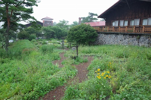 b0119493_11345454.jpg