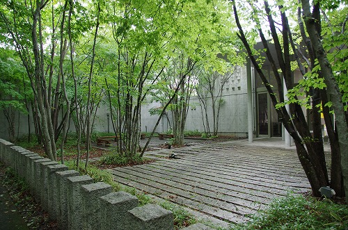b0119493_12354545.jpg