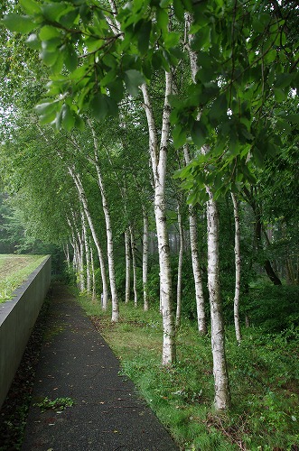b0119493_12364357.jpg