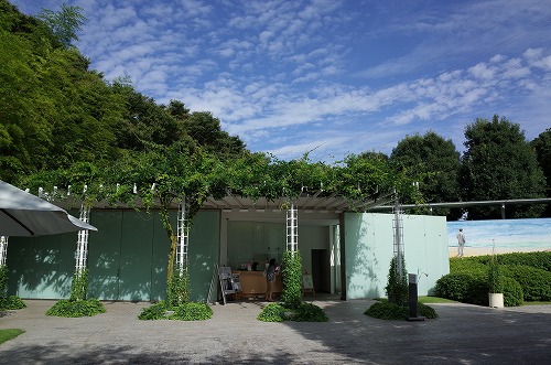 b0119493_1852382.jpg