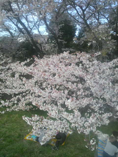 a0195095_19533912.jpg