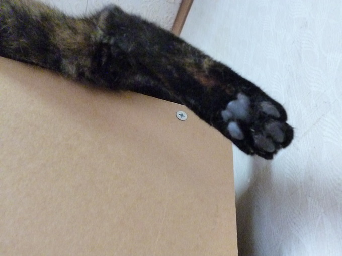 f0305995_0451378.jpg