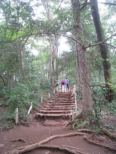 d0046702_19355028.jpg