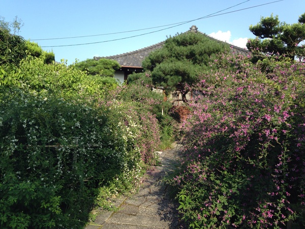f0036603_20111574.jpg