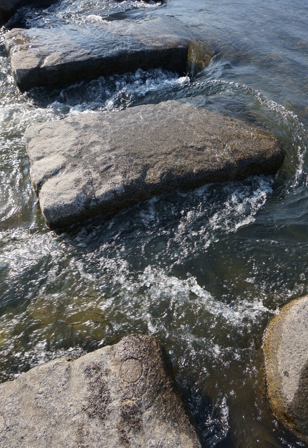 f0036603_20151111.jpg