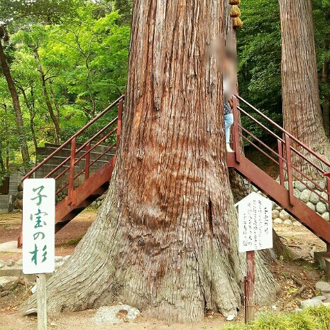 a0183009_1313506.jpg