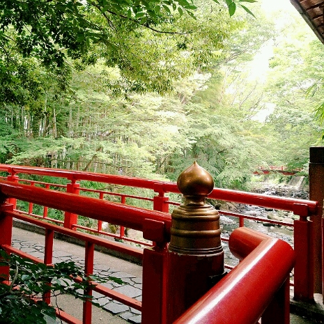a0183009_1318816.jpg