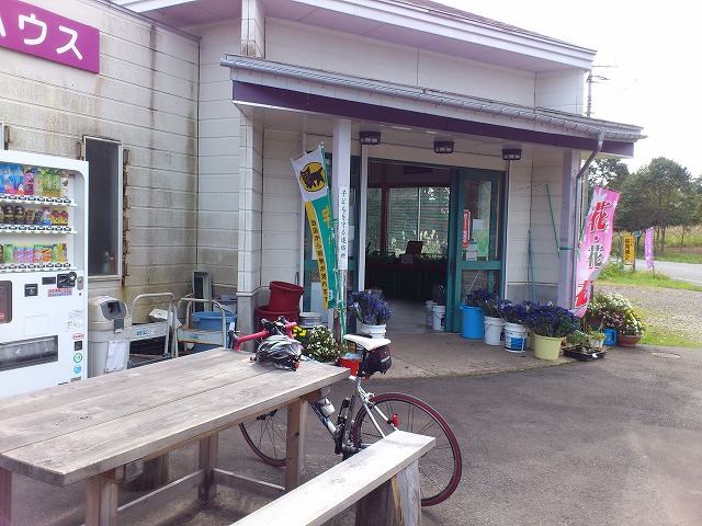 f0100911_21413060.jpg