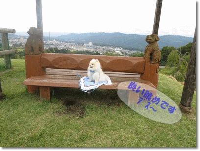 b0167519_1521493.gif
