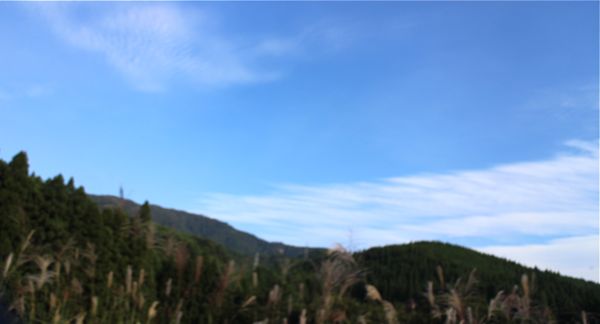 b0226219_14485146.jpg