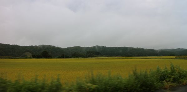 b0226219_14491410.jpg
