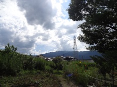f0000521_01225043.jpg